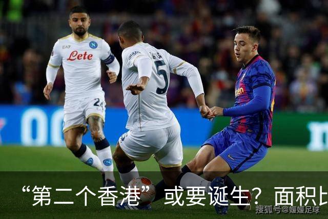 “第二个香港”或要诞生？面积比香港大30倍，目标是比香港还自由