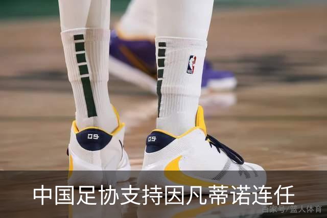中国足协支持因凡蒂诺连任