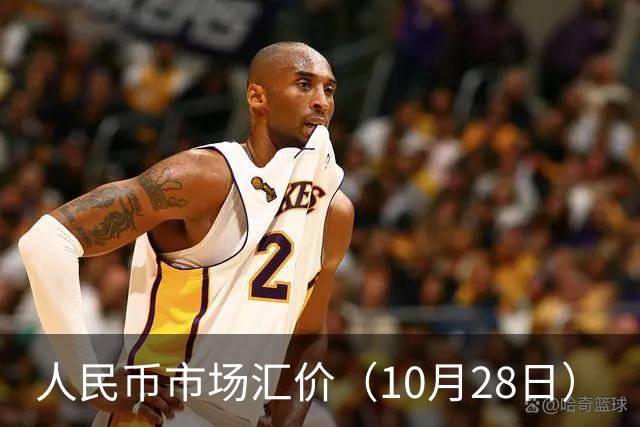 人民币市场汇价（10月28日）