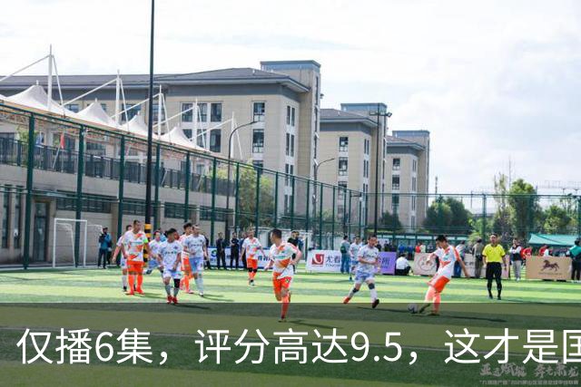 仅播6集，评分高达9.5，这才是国产悬疑剧该有的样子！