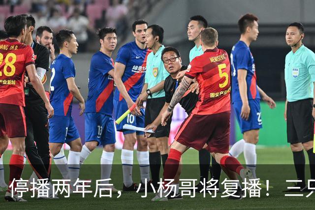停播两年后，小杨哥将复播！三只羊曾转战海外签约无语哥