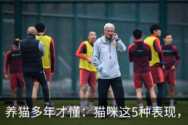 养猫多年才懂：猫咪这5种表现，不是撒娇，是旺家的征兆
