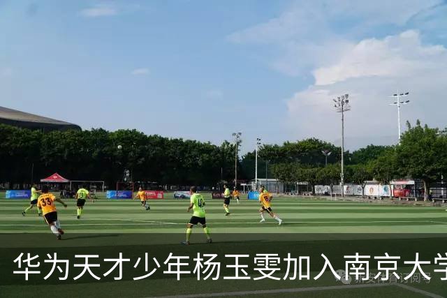 华为天才少年杨玉雯加入南京大学任博导 此前已有两位华为天才少年入职南大