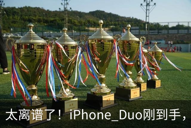 太离谱了！iPhone Duo刚到手，就突然翻车