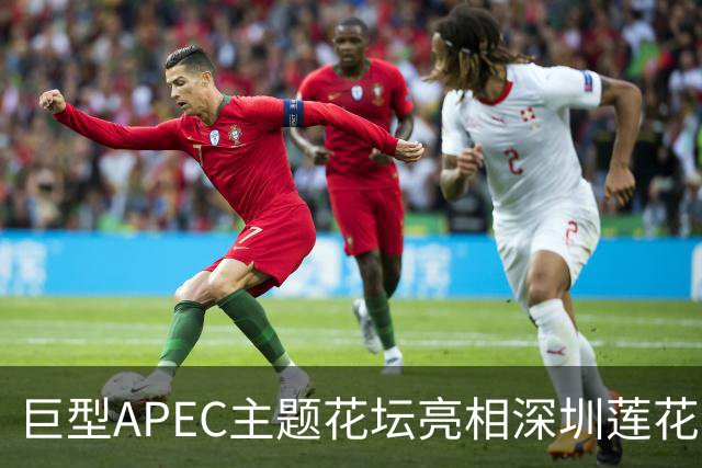 巨型APEC主题花坛亮相深圳莲花山公园