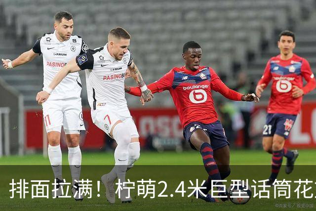 排面拉满！柠萌2.4米巨型话筒花篮，送到肖战演唱会现场
