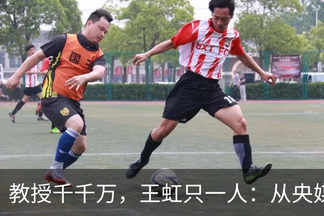 教授千千万，王虹只一人：从央媒称呼看实绩的分量多重要