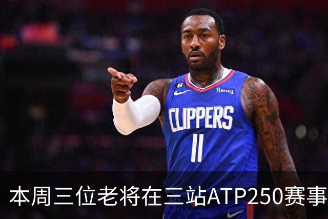 本周三位老将在三站ATP250赛事走完网球征途