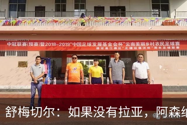 舒梅切尔：如果没有拉亚，阿森纳绝对不可能接近英超冠军