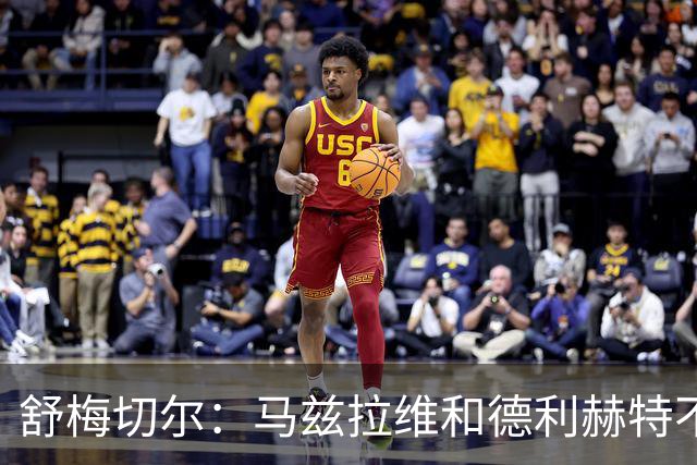 舒梅切尔：马兹拉维和德利赫特不合格，整支球队都没了血性