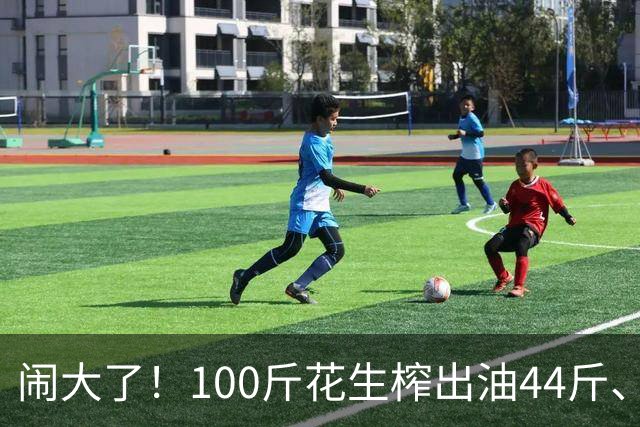 闹大了！100斤花生榨出油44斤、花生渣46斤，凭空少了10斤，湘西村民怀疑油坊动手脚，引发争吵